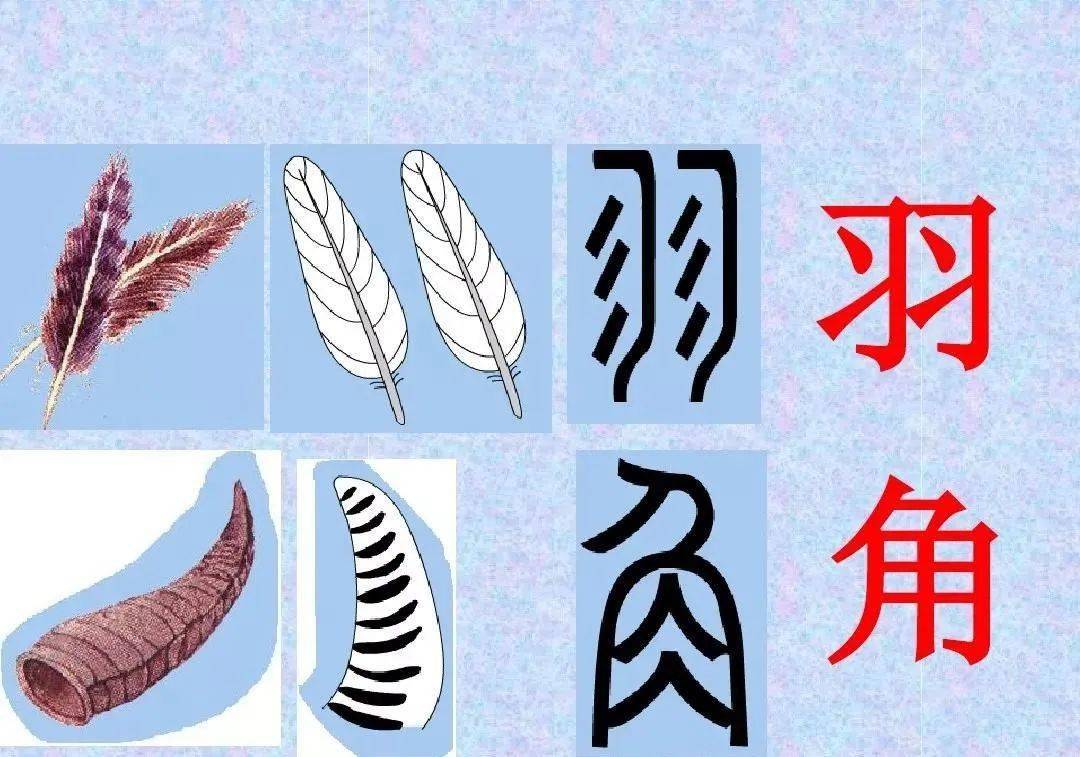 常见80个象形字大全对照表附图,让孩子轻松爱上写字!