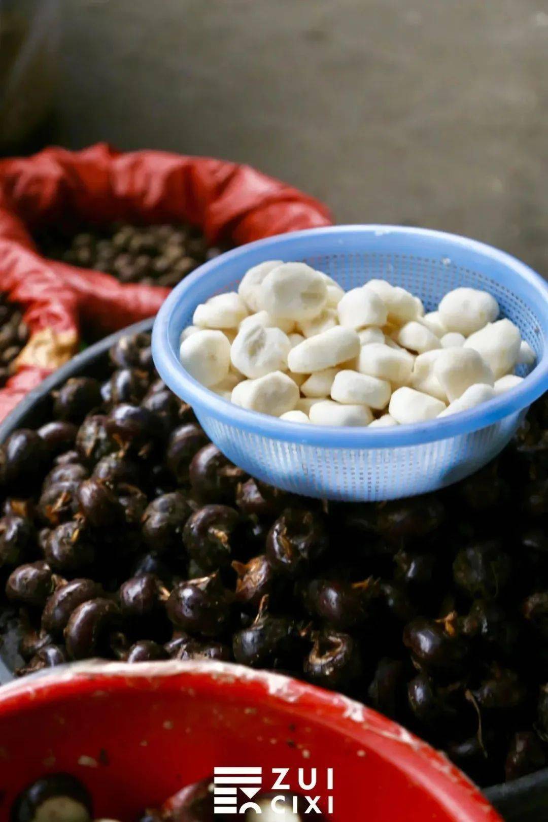 但千万要注意……_荸荠