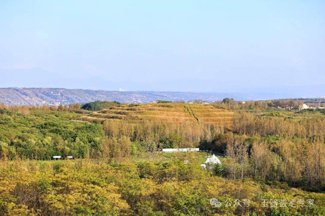 汉宣帝杜陵被盗,老农用锄头浅刨两下,出土御用杯竟被!