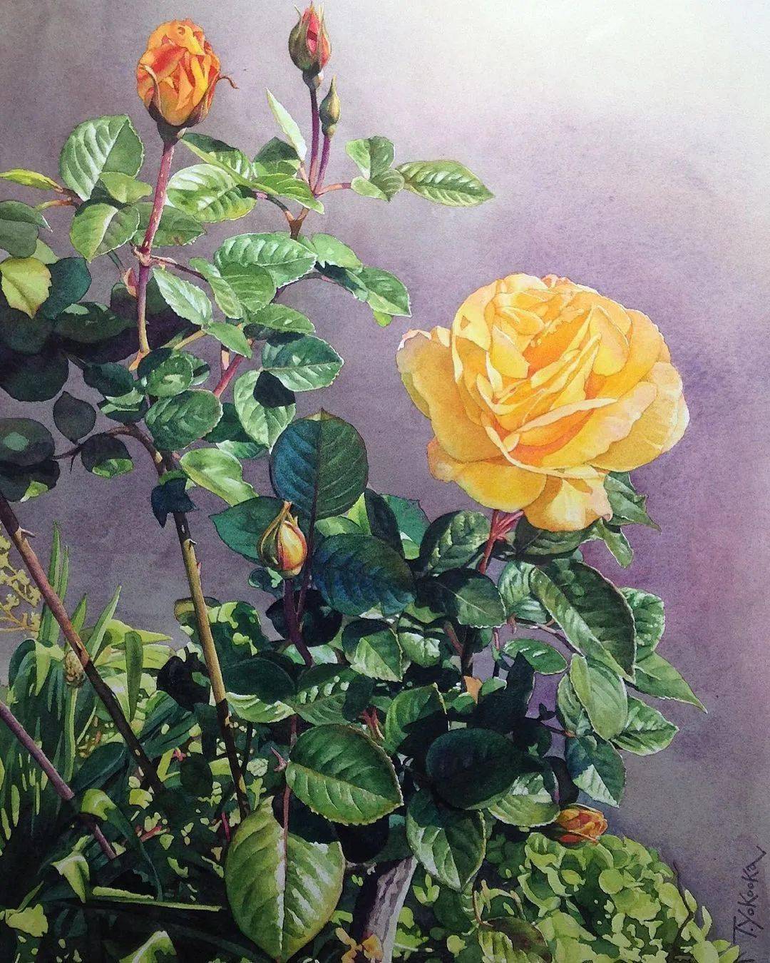 大爷笔下水彩的唯美风景,清新花卉,光感发挥出极致,美爆!看跪了.