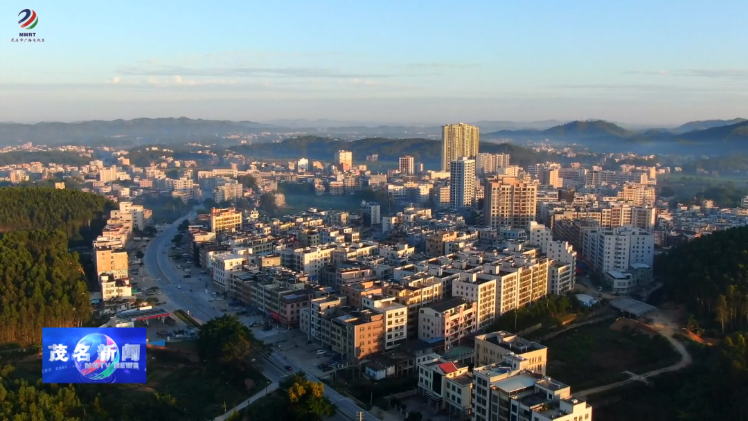 化州市官桥镇:做好"土特产"文章 以"头号工程"推进"百千万工程"_种植