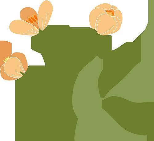 "研"途皆知识"学"中悟成长为全面贯彻党的教育方针,坚持教育与生产