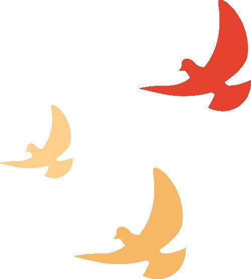 争做新时代好队员 | 西双版纳州2023年度"红领巾奖章"三星章个人(集体