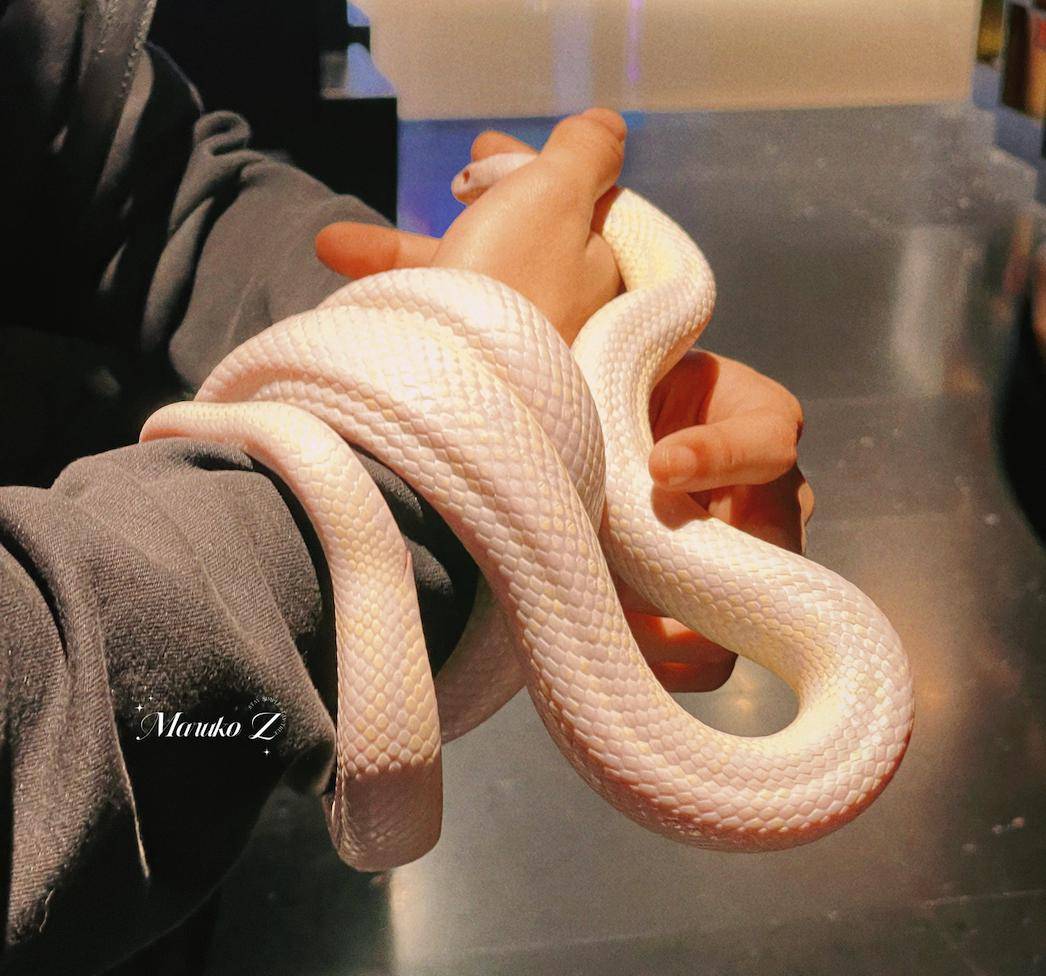 叨叨丨猫刀老师好久不见!踏青约起来!_课程_工作_小伙伴