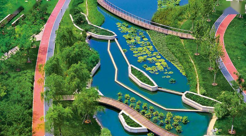 作为国家海绵城市建设试点片区,生态城在建设之初,就充分借鉴新加坡低