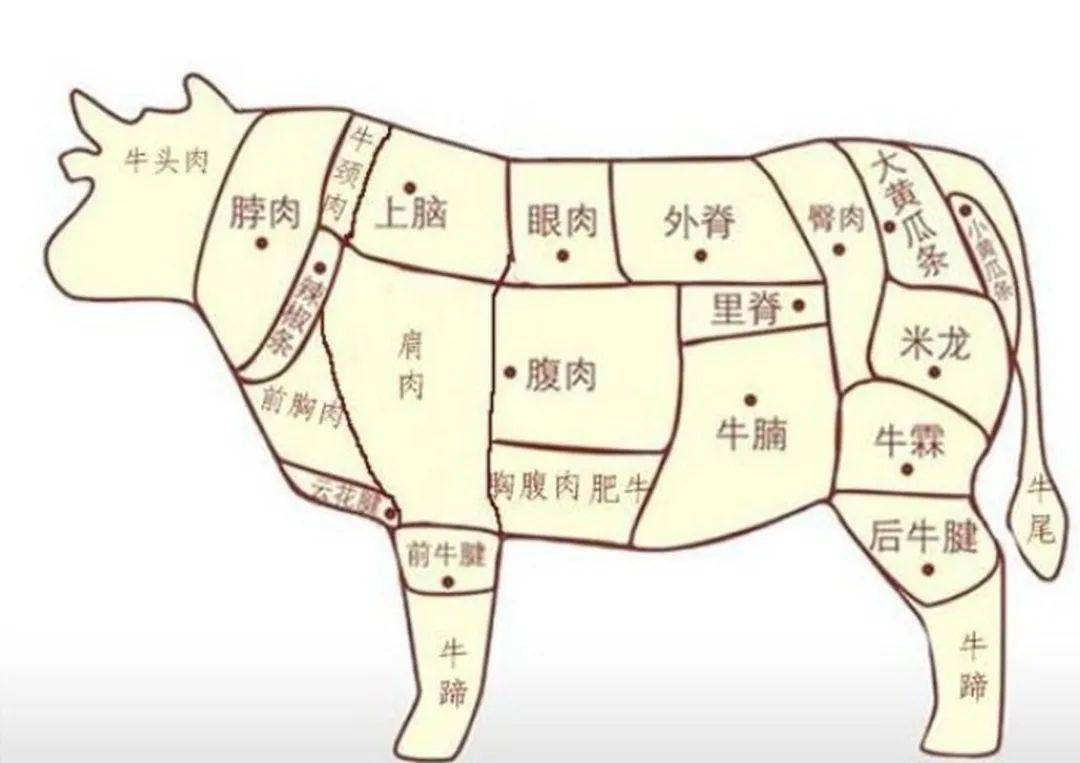 吃肉看地理思维_国家_生产_中国