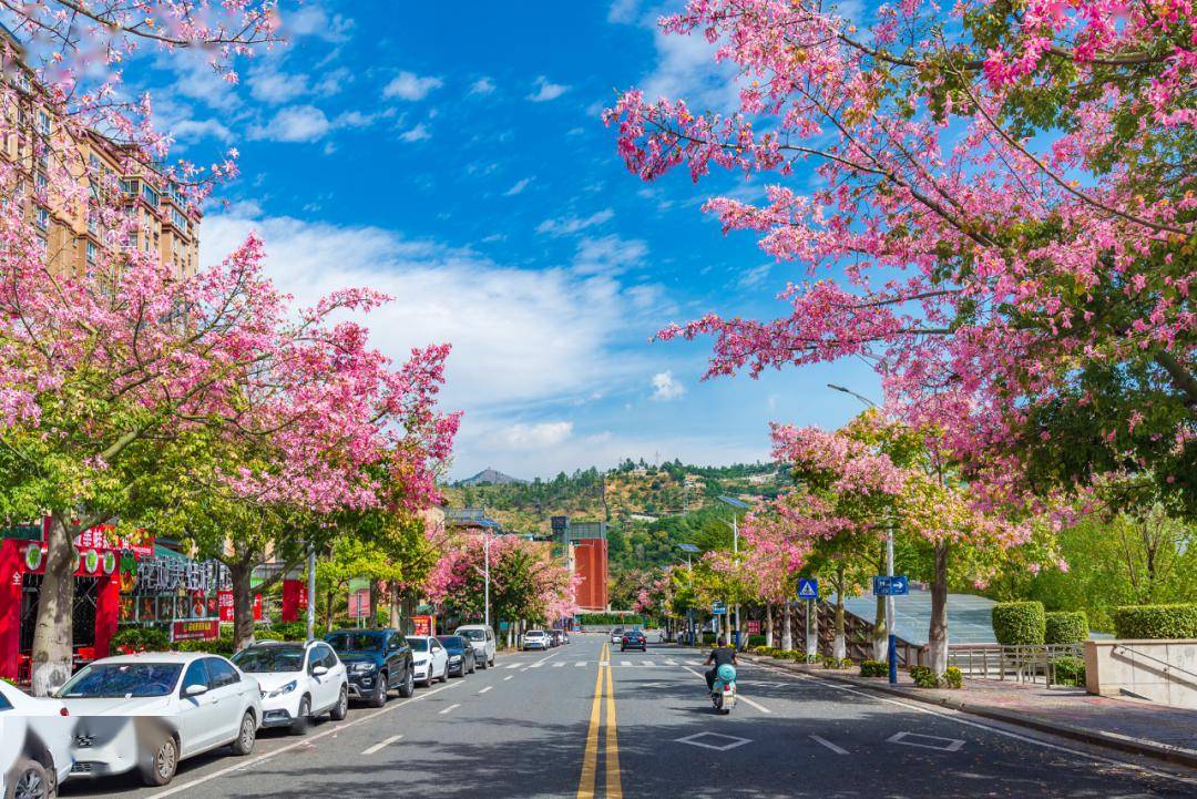 图片来源/这里仁和图片来源/阳光米易