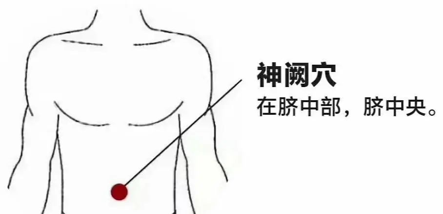 胃肠病患者和女生可按摩肚脐中央的神阙穴,神阙穴属于任脉,系血脉之蒂
