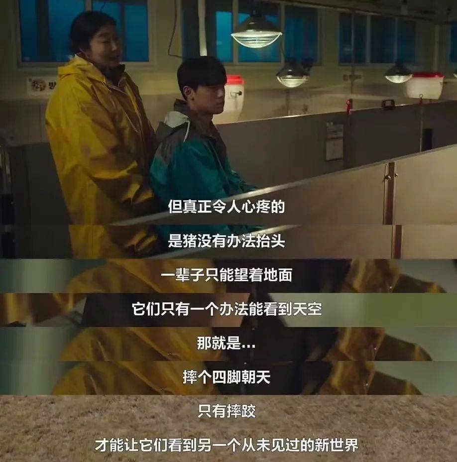 工作十年后,他们依然困在「精神高三」_山河_李芮_生活