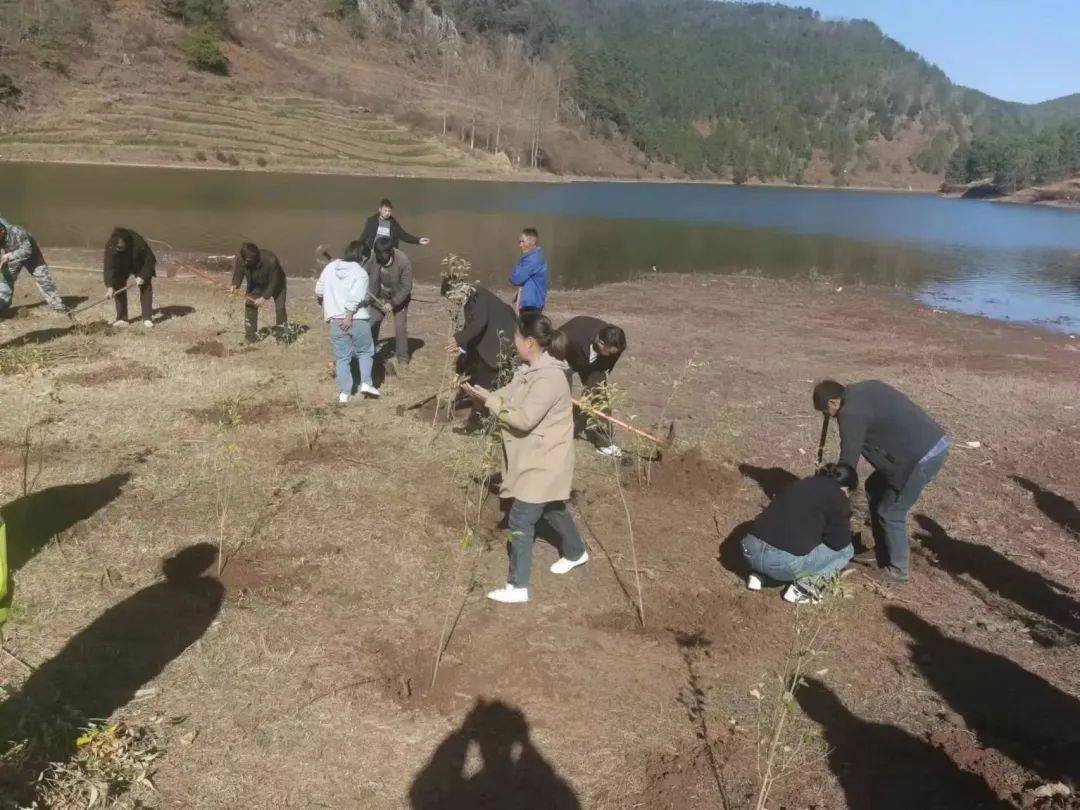 黑石头镇团委组织团员青年成立青年志愿服务队,积极参与义务植树活动.