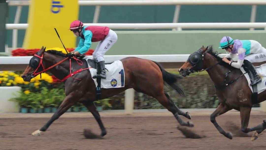 【合作无间】艾道拿,田泰安各自两胜_赛事_直路_占士