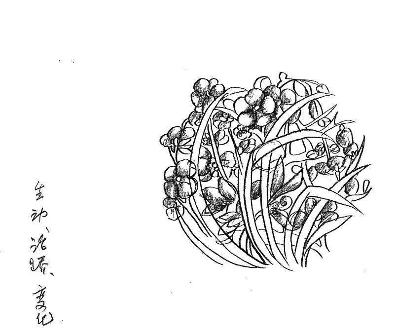幅寓意幸福繁荣的"大年锦"崔冬晖团队从敦煌藻井与图案中提炼基本构图