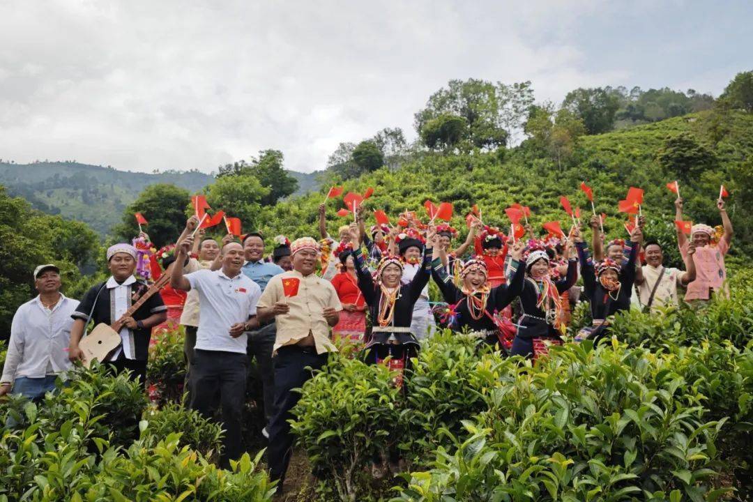 【图说美好新时代】勐海县布朗山乡:党旗飘在茶山上 ,茶农富在家门口