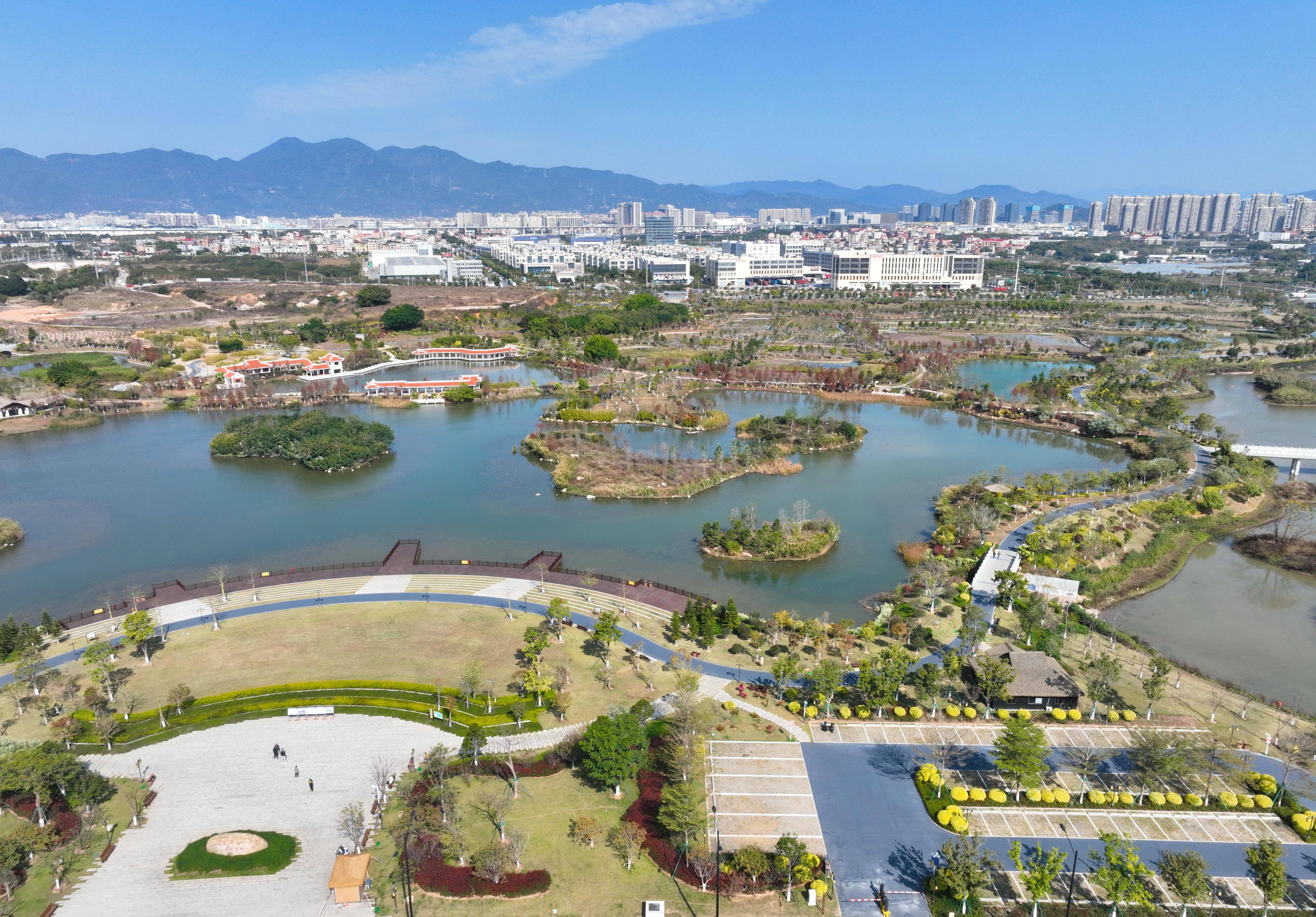 1月24日拍摄的厦门马銮湾双溪湿地公园(无人机照片).