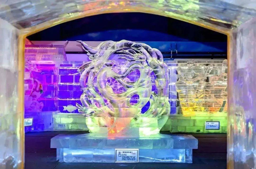 【文艺范】太阳岛冰雪艺术馆里有多少冰雕雪塑?冷不冷?