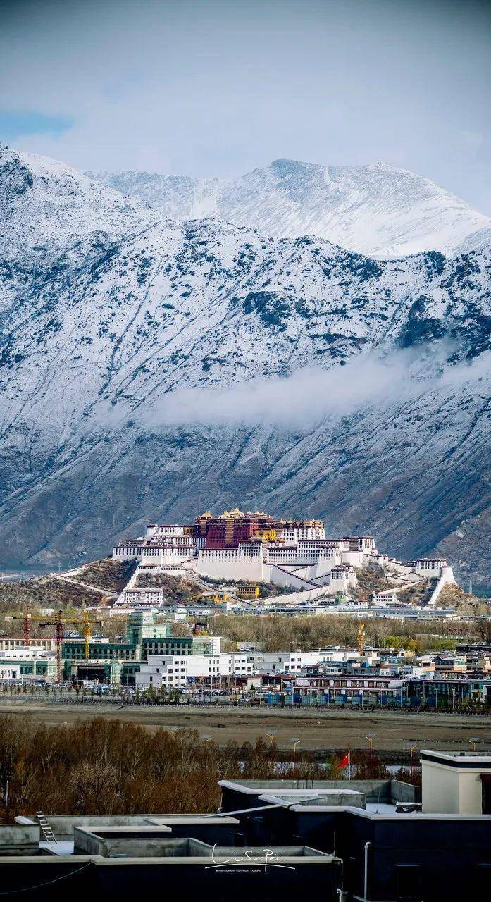 雪山_桃花_湖水