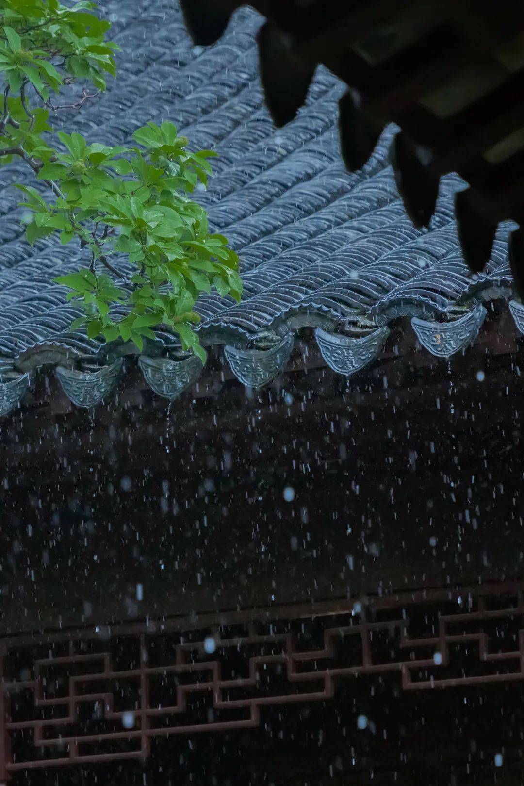 春夜雨景图片图片