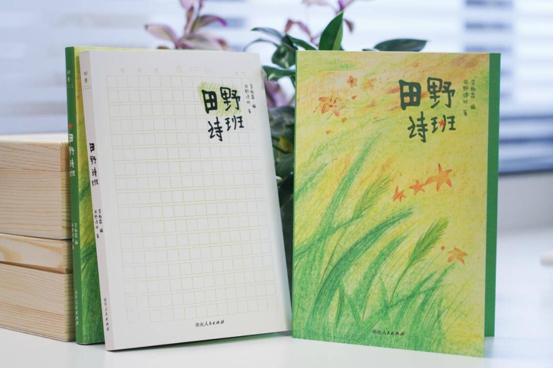 击中心间的诗意,央视春晚舞台"小诗人"创作的《田野诗班》出版_李柏霖