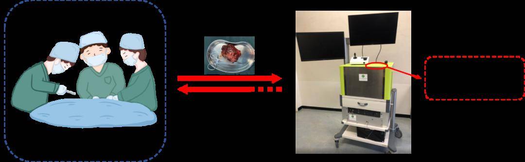 教授团队研发的便携式紧凑型三次谐波显微成像系统fd1070[3])然而