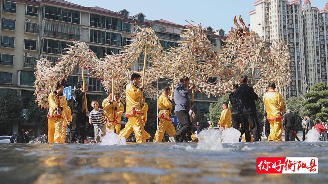 衡阳稻草龙图片