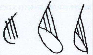 周菁葆:丝绸之路与中外音乐文化交流_箜篌_乐器_公元