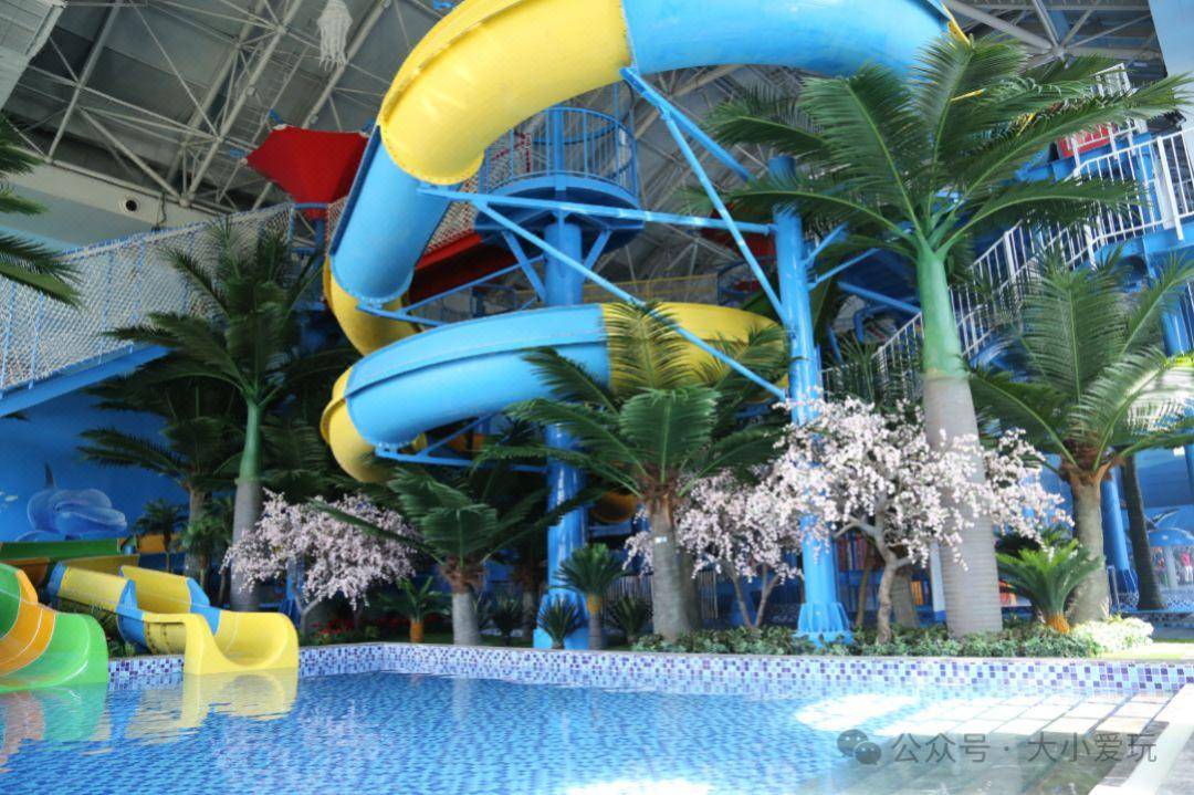 冬奥_怀来_小爱