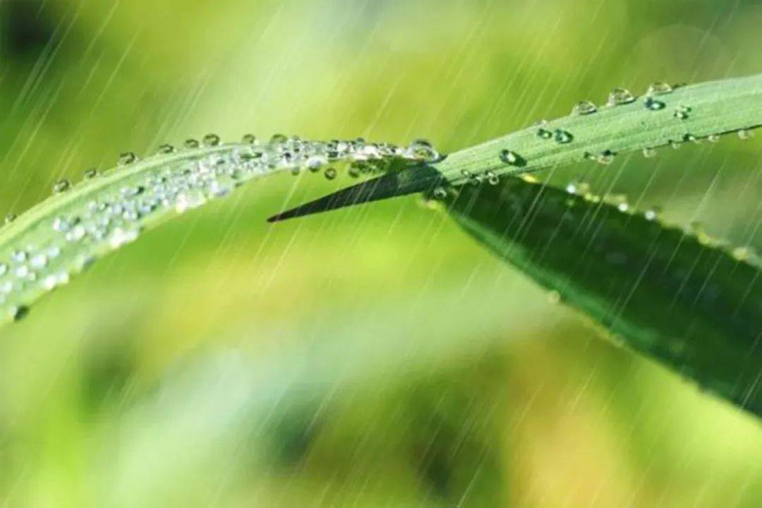 2024年第6期蝉翼有约_就业_残疾人_工作