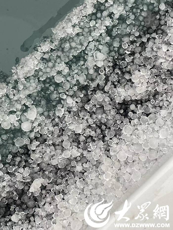 菏泽昨天下的冰粒子学名叫霰雪霰之后必有暴雪气象台回复了