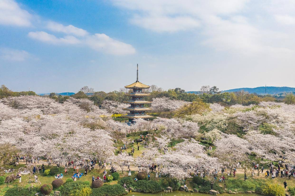 武汉东湖春天风景图片图片