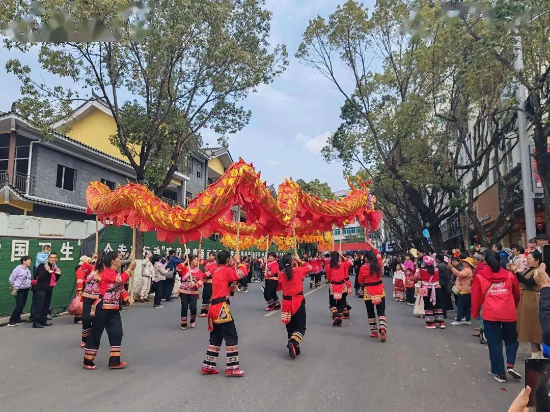 2021年新平嘎洒花街节图片