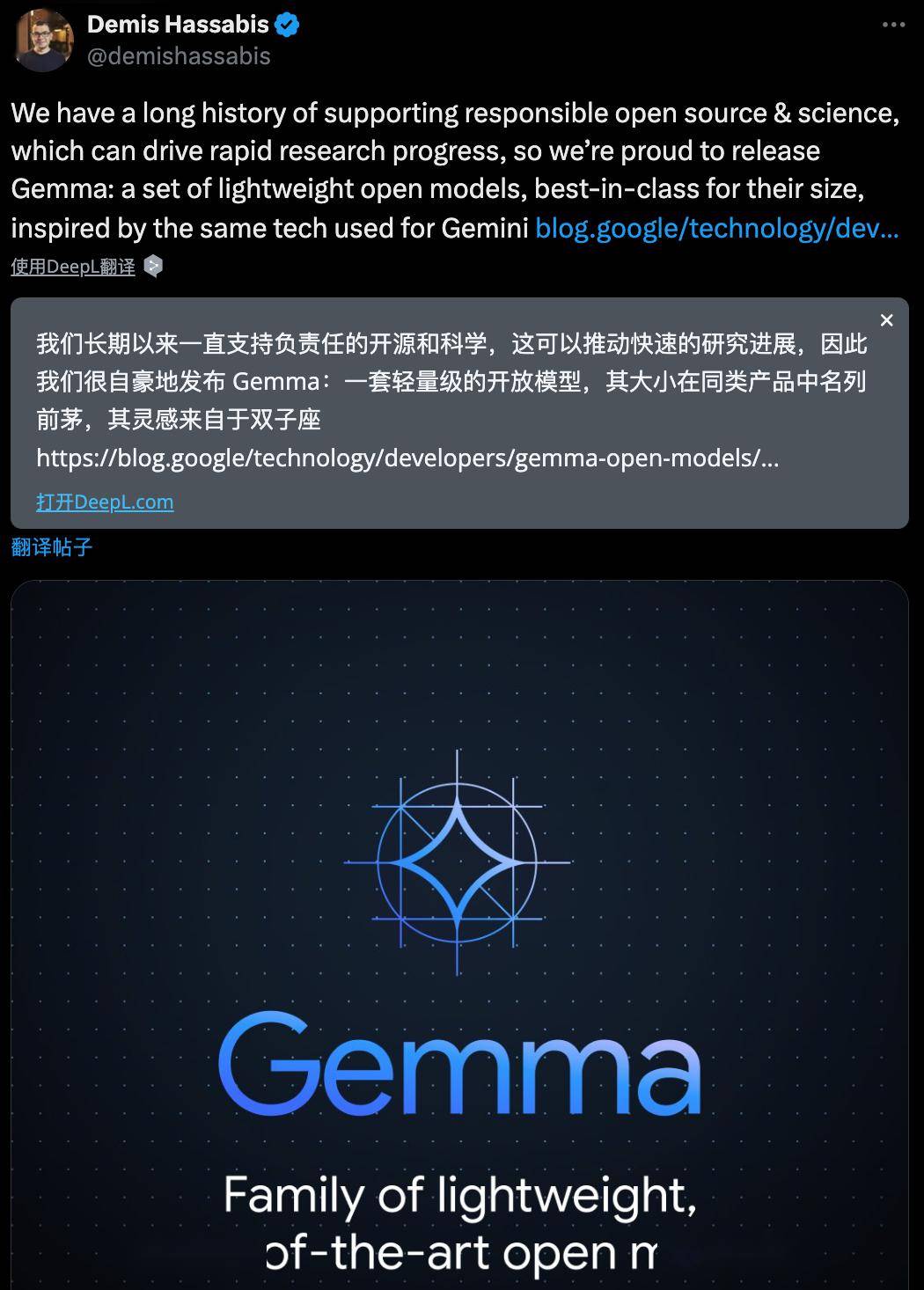 gemmahoi图片