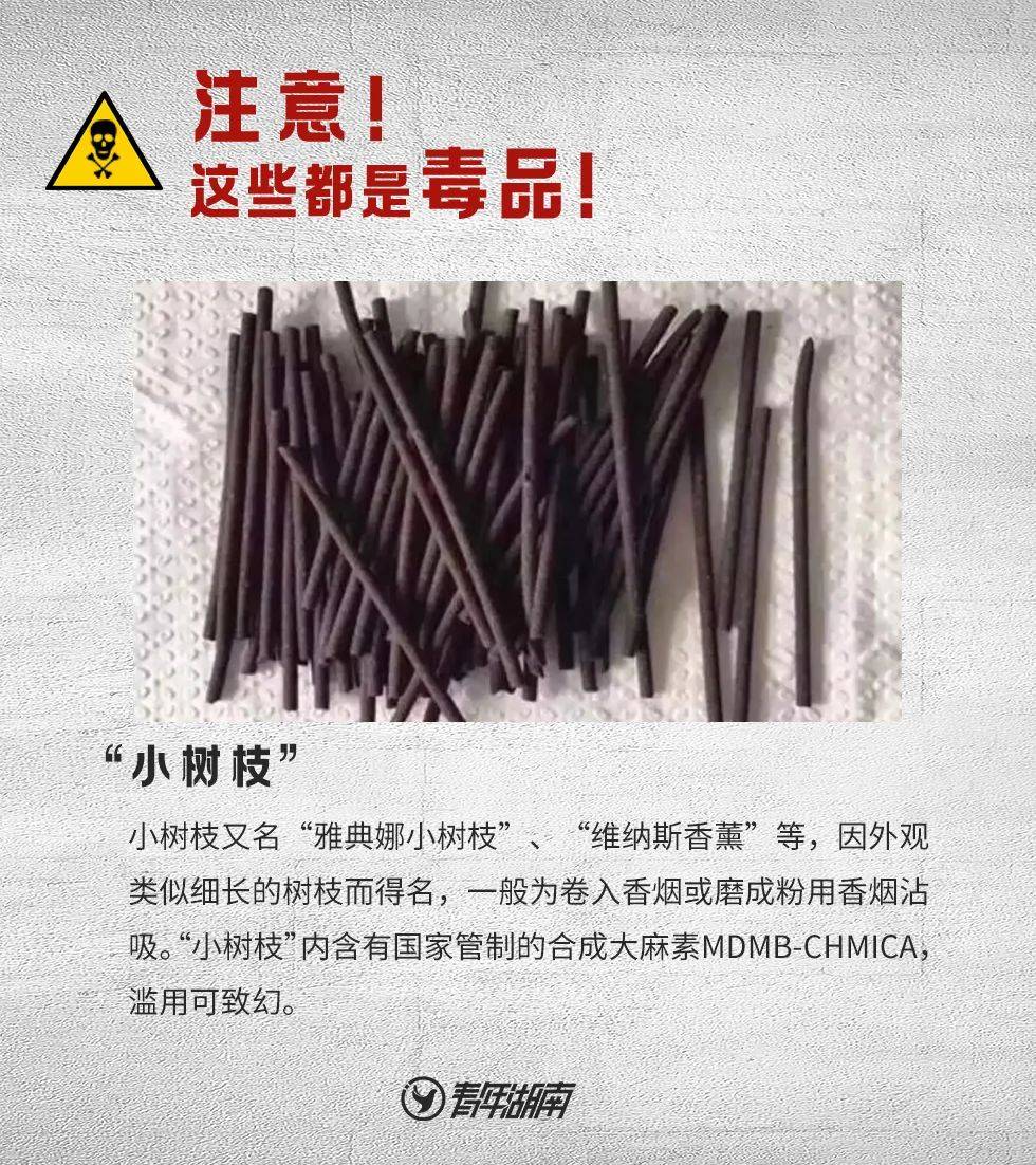 "这是罂粟?以为是茼蒿呢!"民警:别狡辩!_毒品_种植_植物