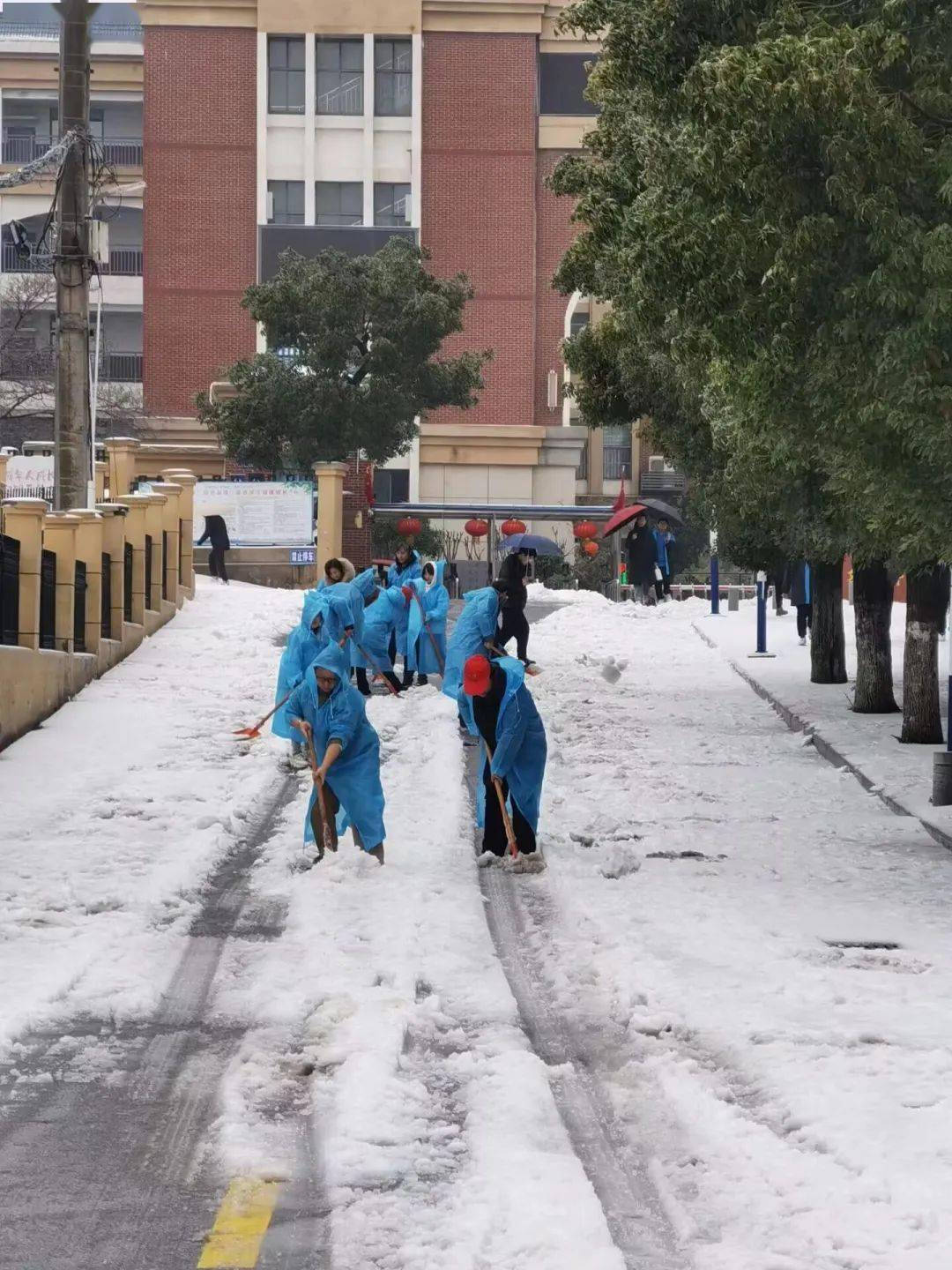 我们在黄石街头看到……_积雪_社区_阳新