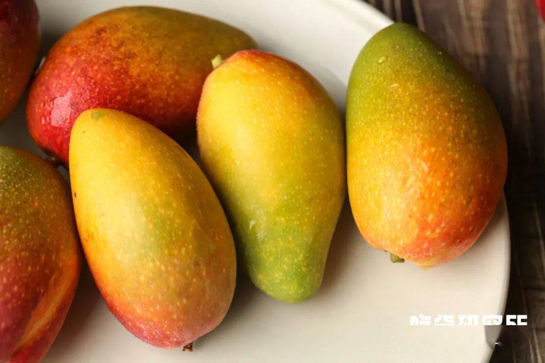 所长还发现,贵妃芒就是emoji表情里的芒果03本芒!