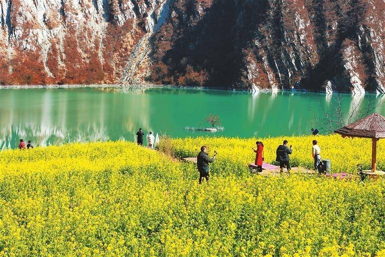 陇南文县:油菜花竞相绽放_游客_玉垒乡_甘肃