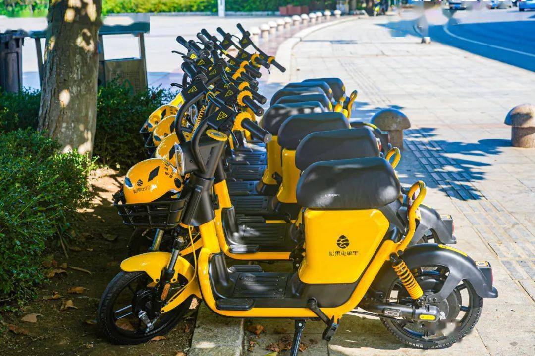 分别是美团,松果,哈啰,青桔等共享电动车,后续随着共享电动车在"车辆