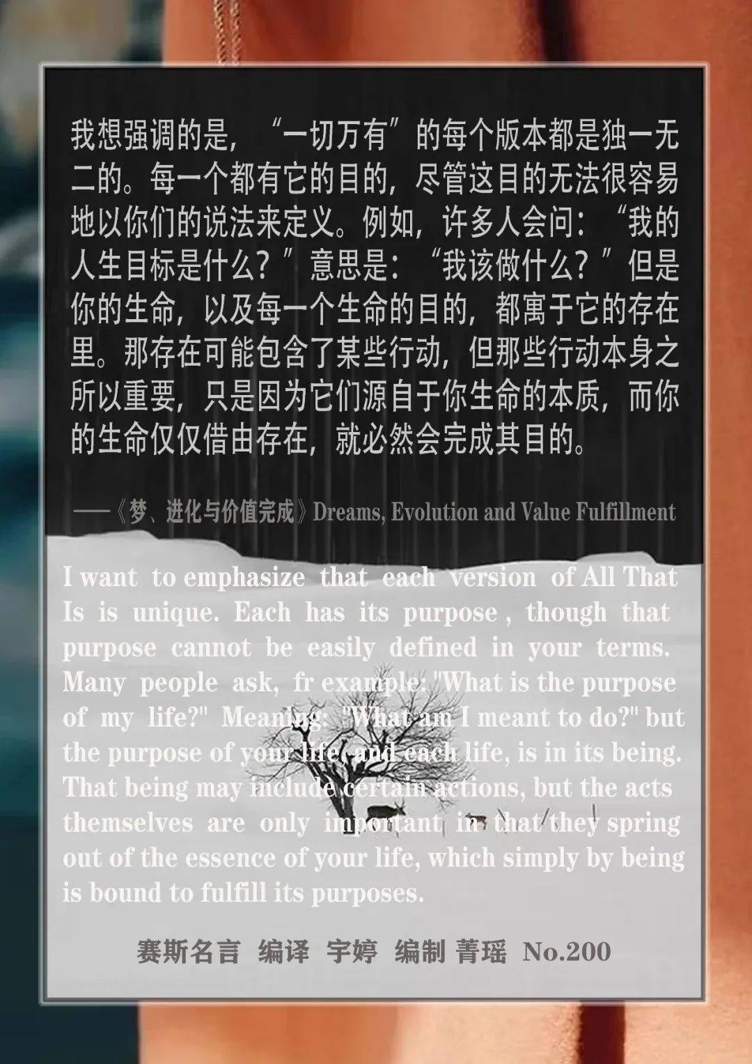 赛斯名言no.200_that_in_is