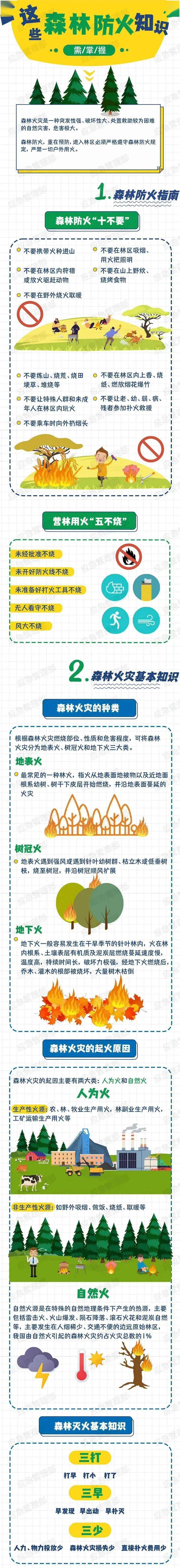 6969一旦遇到森林火灾,保持冷静,掌握正确逃生技能很重要