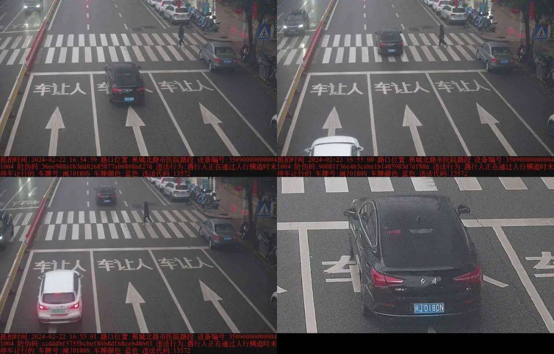 违法_车牌_时间