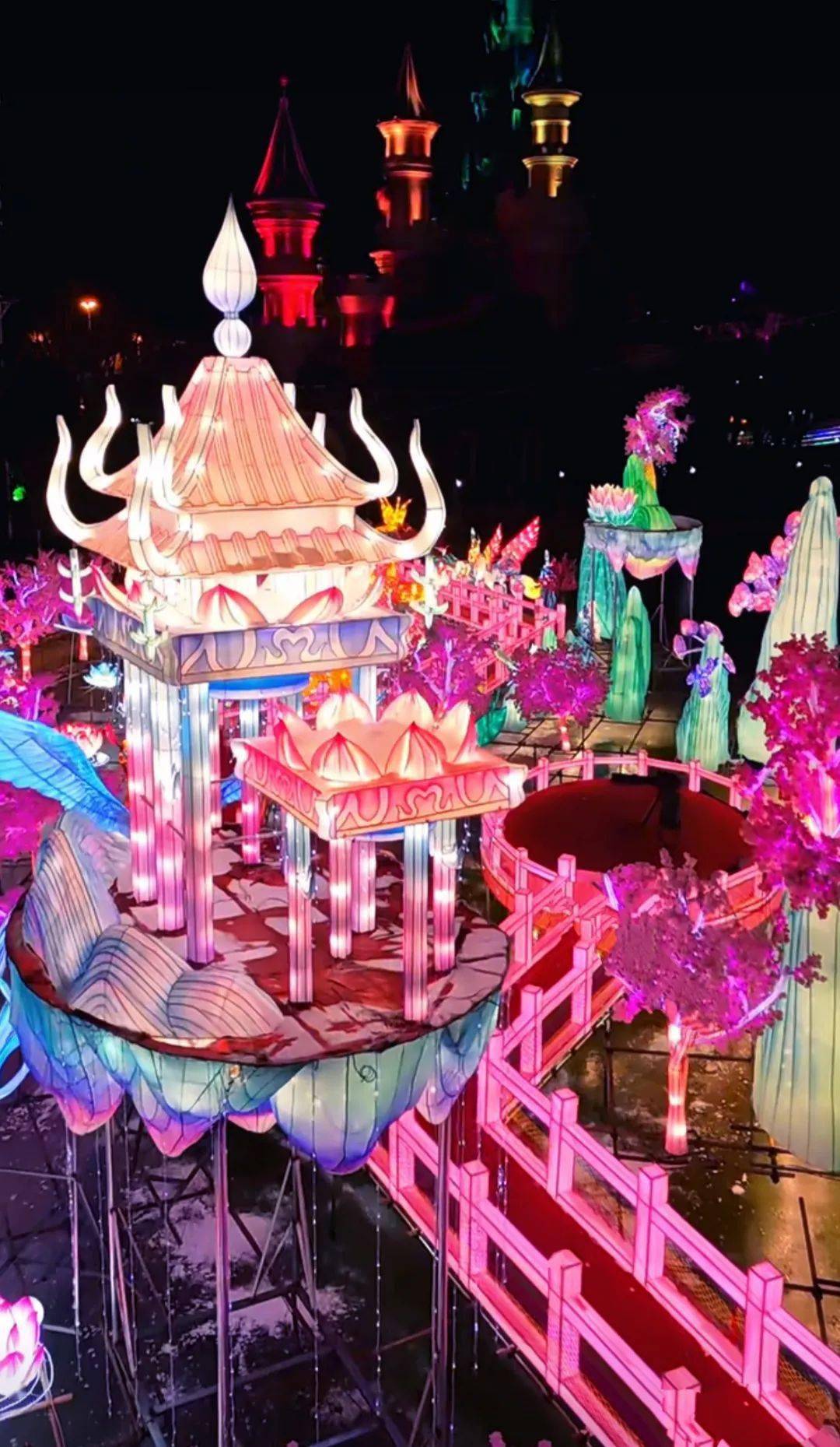 景区陆续开园,年味继续_花灯_文化_灯会