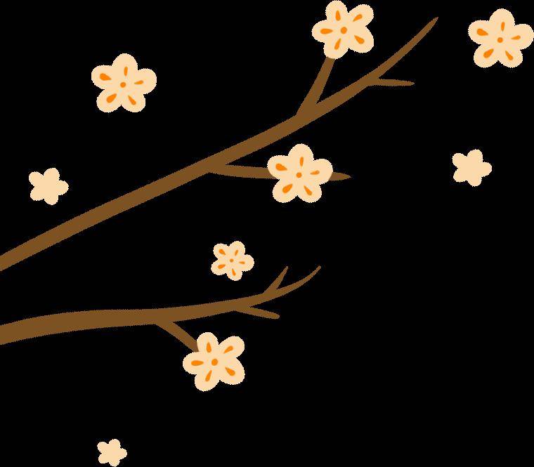 妈妈_小唐_节目