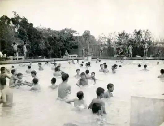 体“谈”记忆｜58天建好一座泳池，这速度在当年的闵行不算稀奇