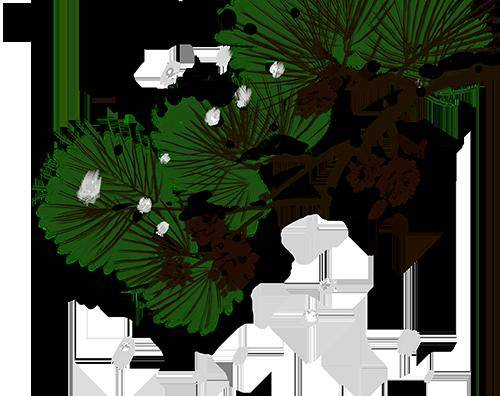 【征集】"我青春,我健康"中华经典诵读大赛等你来_作品_视频_形式