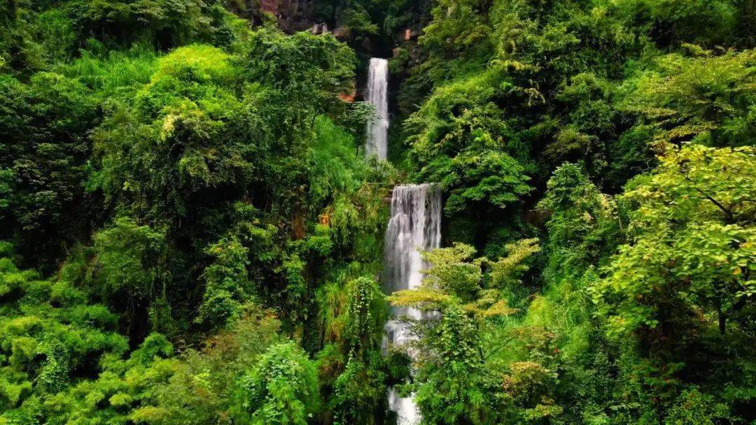 峨眉山惊艳亮相!