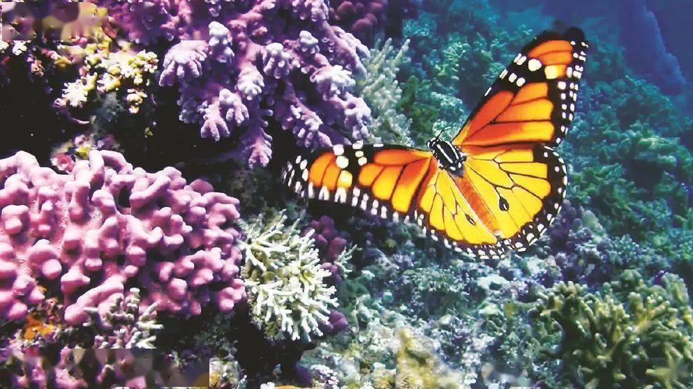 sora模拟视频中,在海中飞舞的蝴蝶犹如实景拍摄.