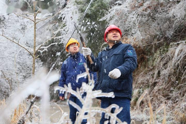 以动制"冻" 临安电力全力应对雨雪冰冻灾害天气_陈凯_树竹_线路