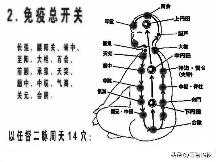 丹田的具体位置图片图片