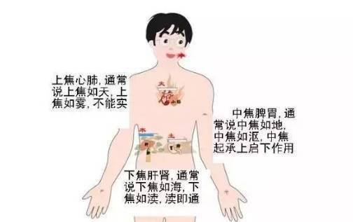 上焦接受来自中焦脾胃的水谷精微,通过心肺的宣发敷布,布散于全身