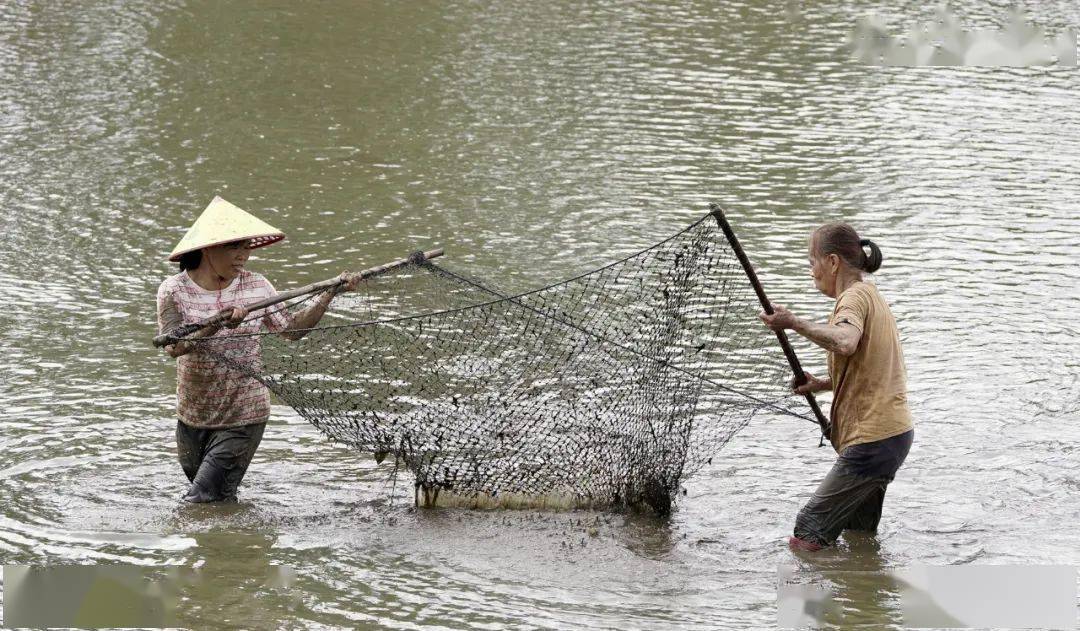 网络中国节 · 元宵 