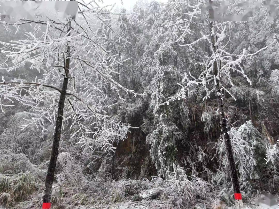 未来江西低温阴雨持续 警惕道路结冰_天气_赣北_全省